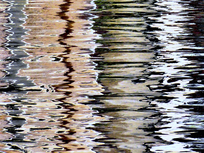 imagen 1. alba morin